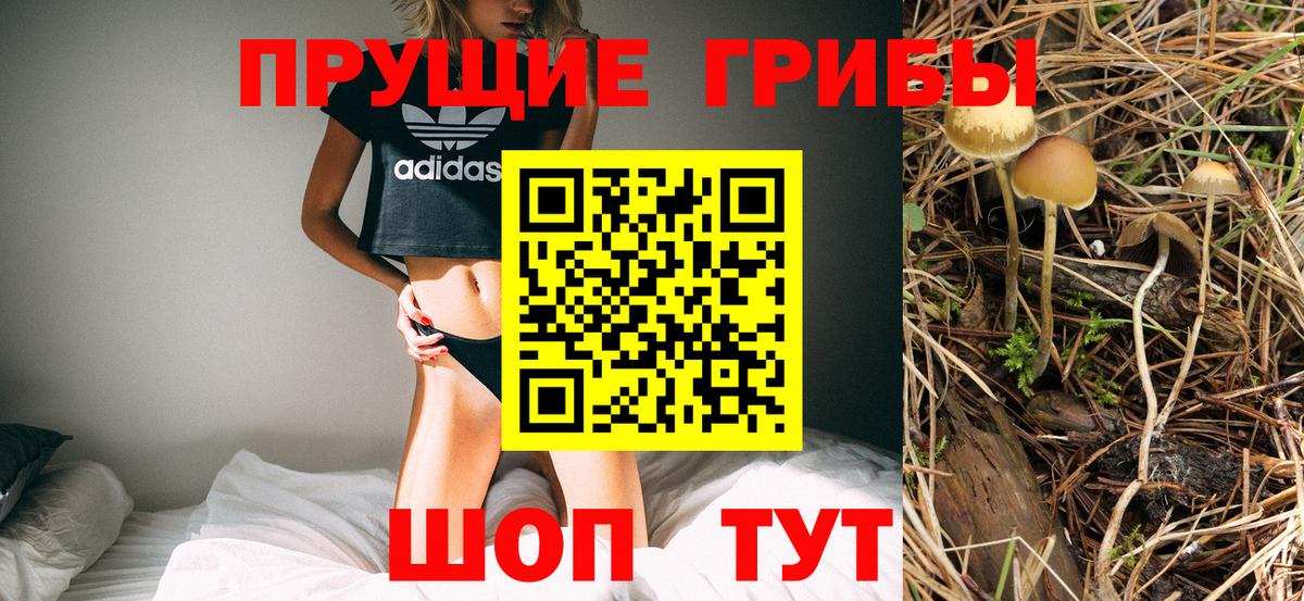 Псилоцибиновые грибы Psilocybine cubensis  Псилоцибиновые грибы GOLDEN TEACHER  Вход с VPN  Шатура 